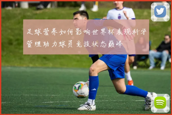 足球营养如何影响世界杯表现科学管理助力球员竞技状态巅峰